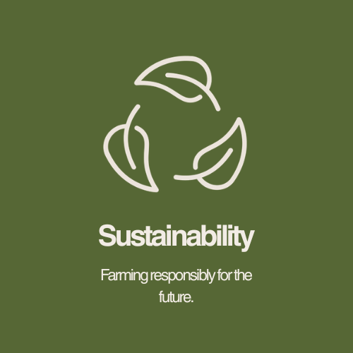 Sustainability — farming responsibly for the future