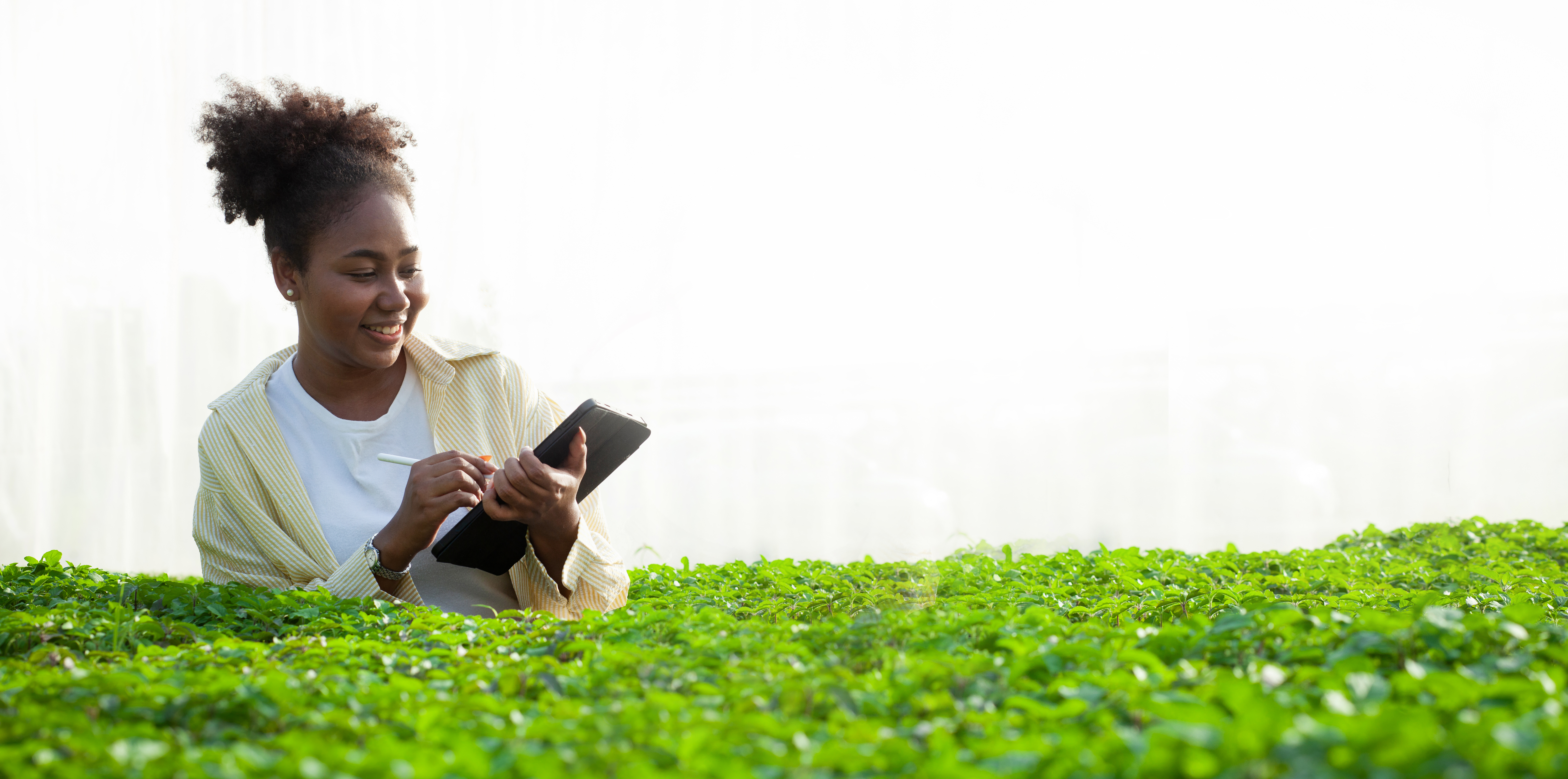 Woman using a tablet among greenhouse crops